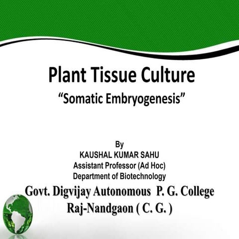 Somatic embryogenesis, in plant tissue culture 2