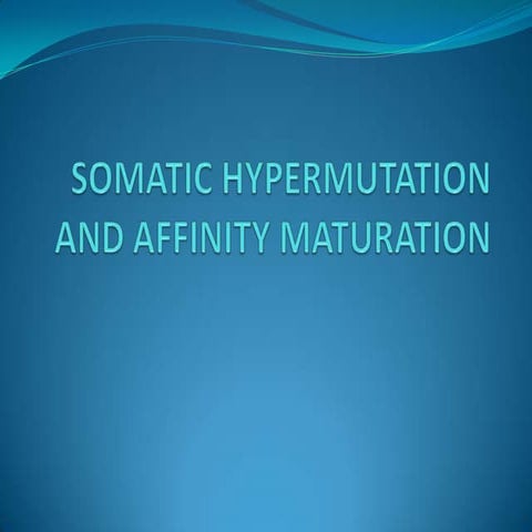 Somatic hypermutation and affinity maturation