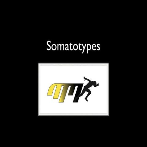 Somatotypes (2)
