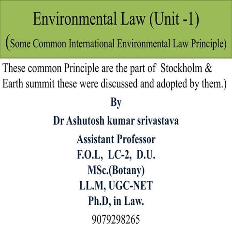 Some Common International Environmental Law Principle.pptx