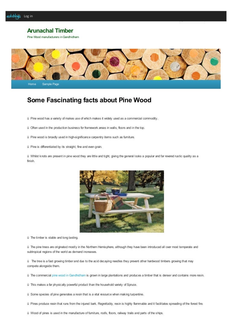 Some fascinating facts about pine wood