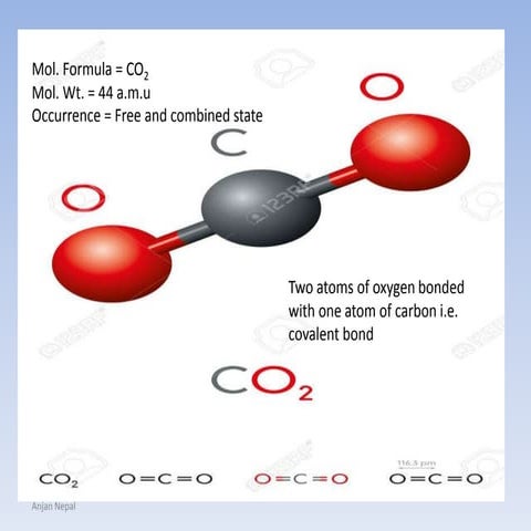 Some gases (Carbondioxide and Ammonia) Chapter for SEE Nepal