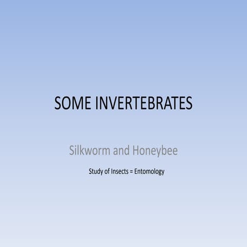 Some invertebrates chapter SEE Nepal