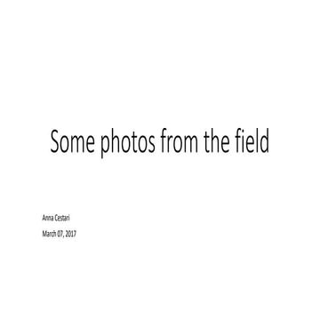 Some photos from the field