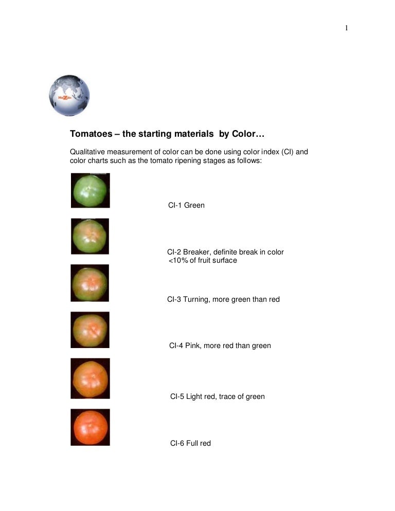 Tomato Ripening Chart