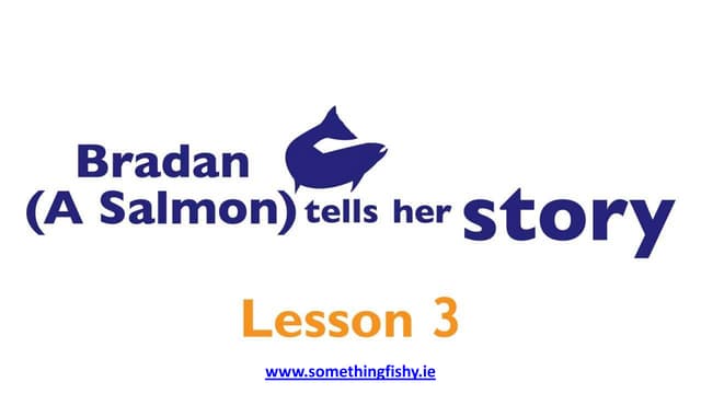 Fish: Salmon Fish spawning and developing to fry and parr - Something Fishy: ...