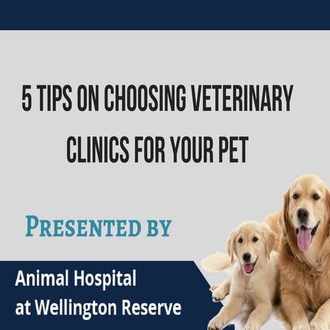 The Growing Importance of Community-Based Veterinary Services | PPTX