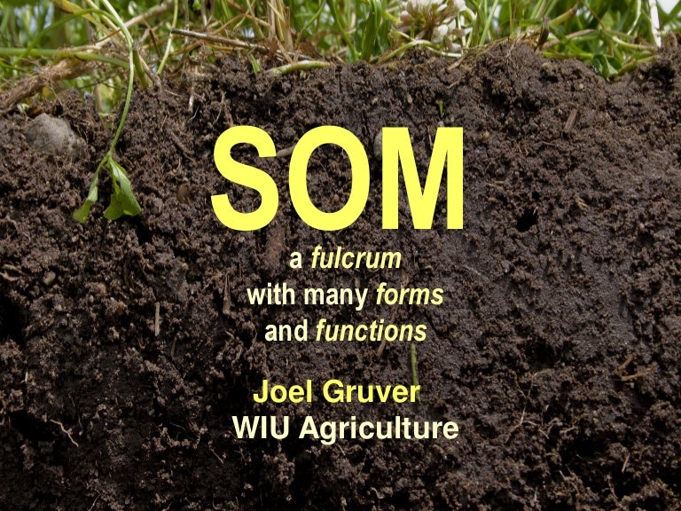 3. Soil Organic Matter