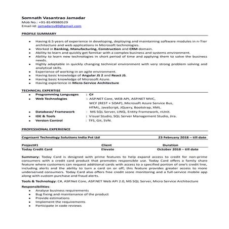Somnath Resume
