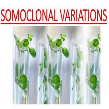 SOMOCLONAL VARIATIONS.pptx