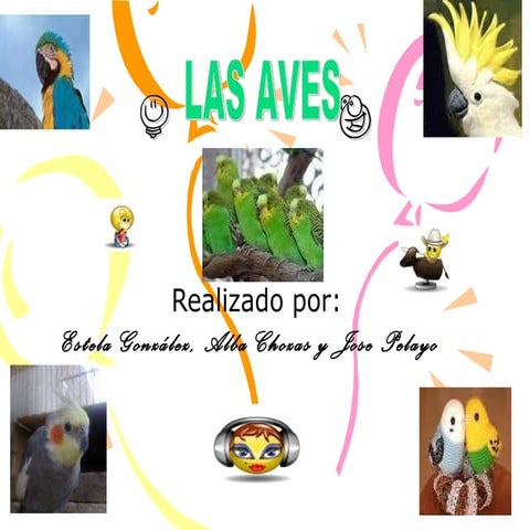 Presentación Power Point sobre las aves