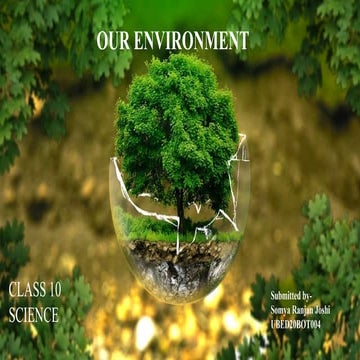 Our Environment Class - 10th | PPTX