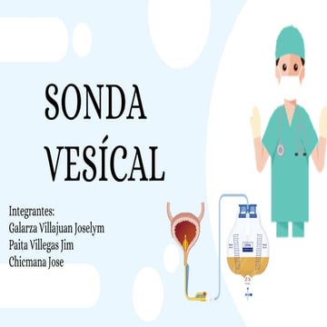 Sondaje vesical | PPT
