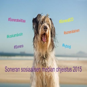 valokuituverkko-tuulokseen-sonera-asiakascase-pdf
