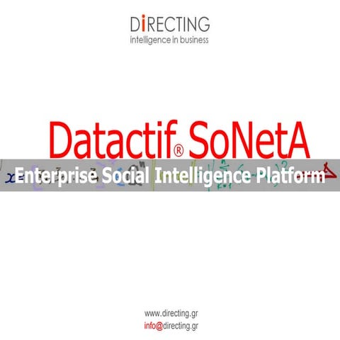 Soneta. Social Network Analyzer