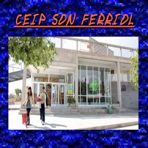 Sonferriol grup2 benet