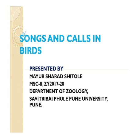 Songs and calls of birds pdf