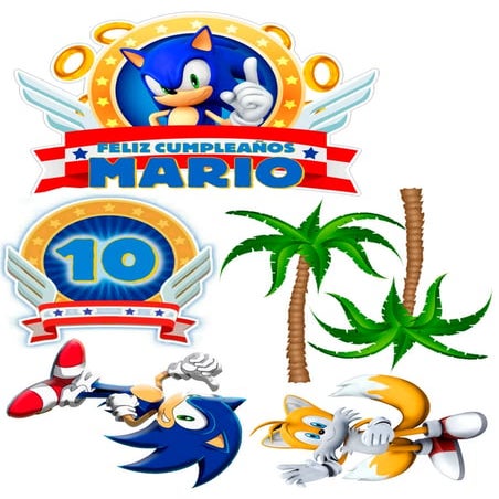 SONIC.pdf