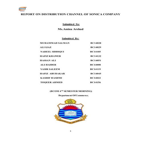 Sonica company (Distribution Channel)