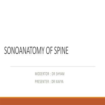 sonoanatomy of spine anaesthesia pov ppt.