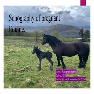 Transrectal ultrasonography in reproductive management of cattle | PPTX