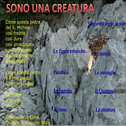 Sono una creatura