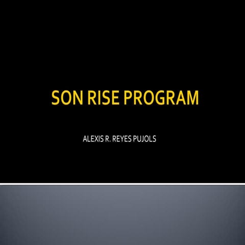Son-Rise Program | PDF