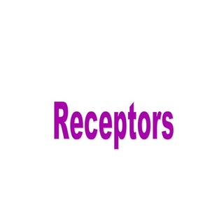 Sonsory receptors