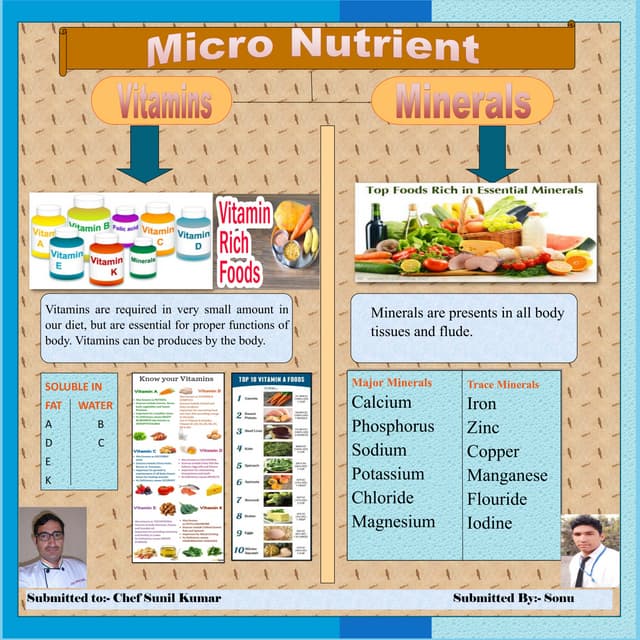 MICRO NUTRIENT 