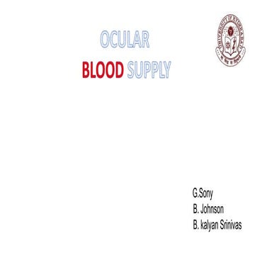 ocular blood supply