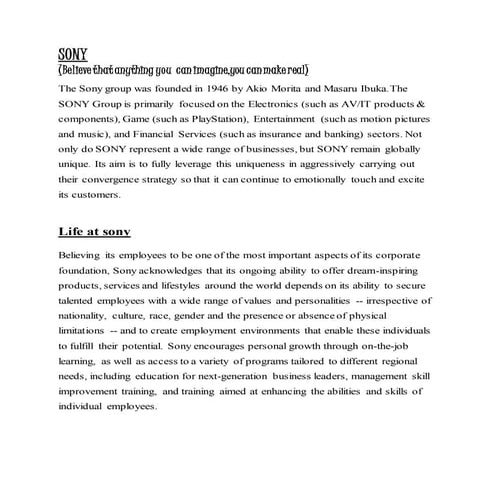 Sony internet excercise