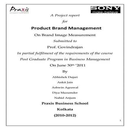 Sony Brand Image Measurement