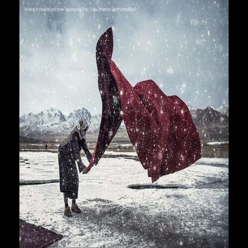 Sony World Photography Awards 2018:The Shortlist Highlights