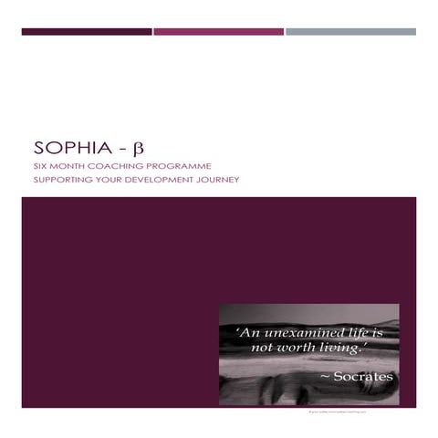 Executive Coaching Proposition