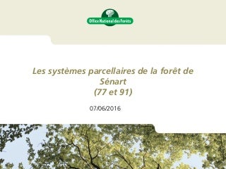 sex en essonne sex en essonne