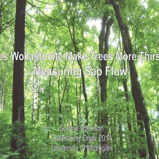 Sophie harrison sap flow REUcon