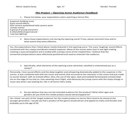 Sophie's questionnaire