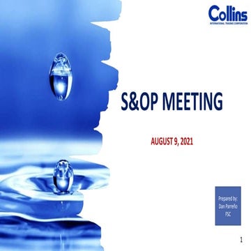 S&OP MEETING - FSC TEMPLATE (1).pptx