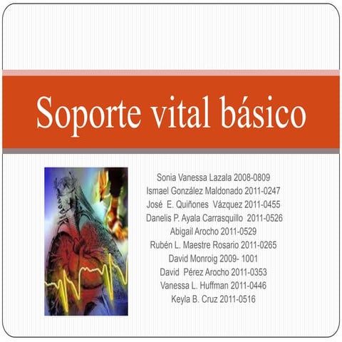 Soporte vital basico