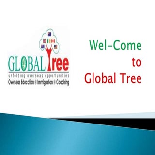 Australia Sopt Assessment