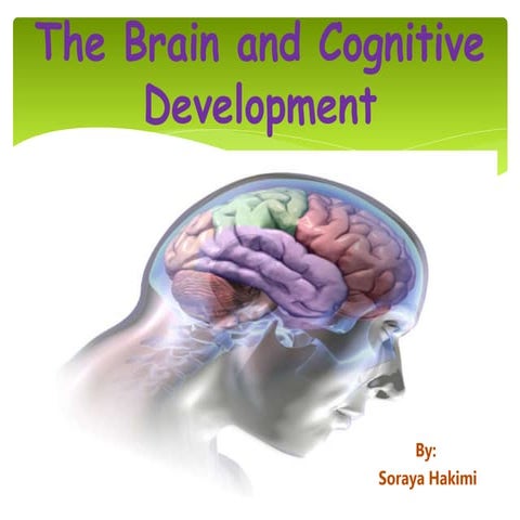 Soraya Hakimi. Brain and Cognitive Development.pptx