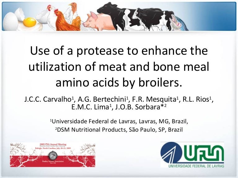 Protease to enhance meat and bone meal amino acids by broilers