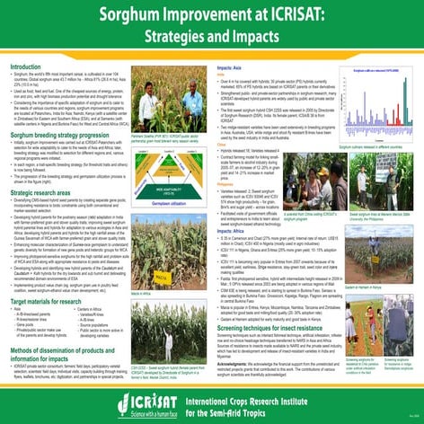Sorghum improvement at ICRISAT: Strategies and impacts