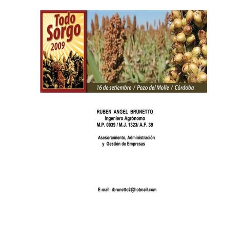 Sorgo   ing. agr. brunetto rubén - jornada todo agro - 16 de septiembre 2009 ...