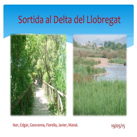 Sortida al delta del llobregatocellots