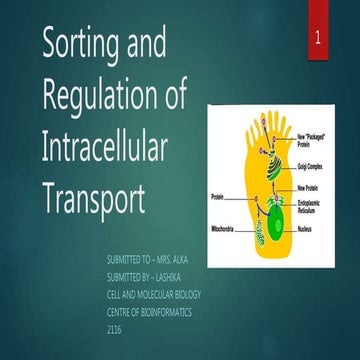 Sorting and sorting and regulation of intracellular transport