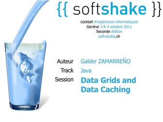 soft-shake.ch - Data grids and Data Caching