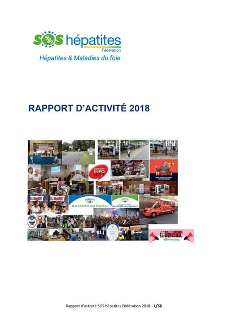 SOS Hépatites Rapport d'activité 2018
