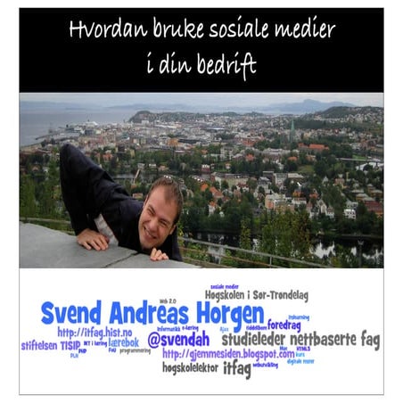 Sosiale medier-horgen-2012