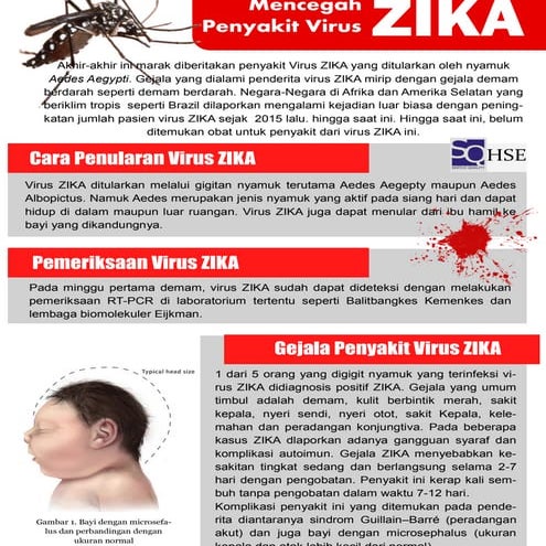 Sosialisasi ZIKA